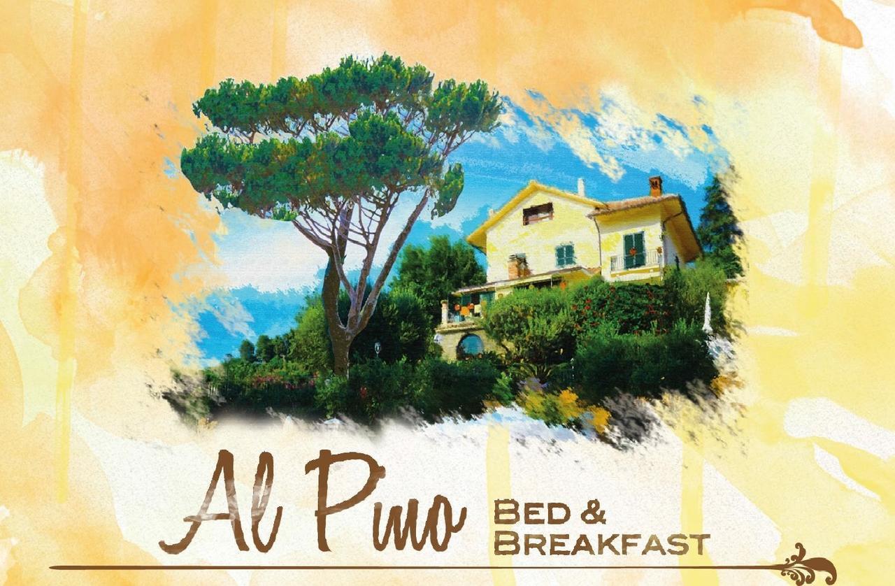 Al Pino B&B Grottaferrata Kültér fotó